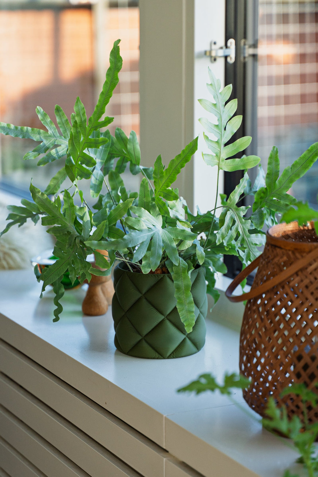 Bæredygtige urtepotter: hvad betyder det egentlig? - Little Plants