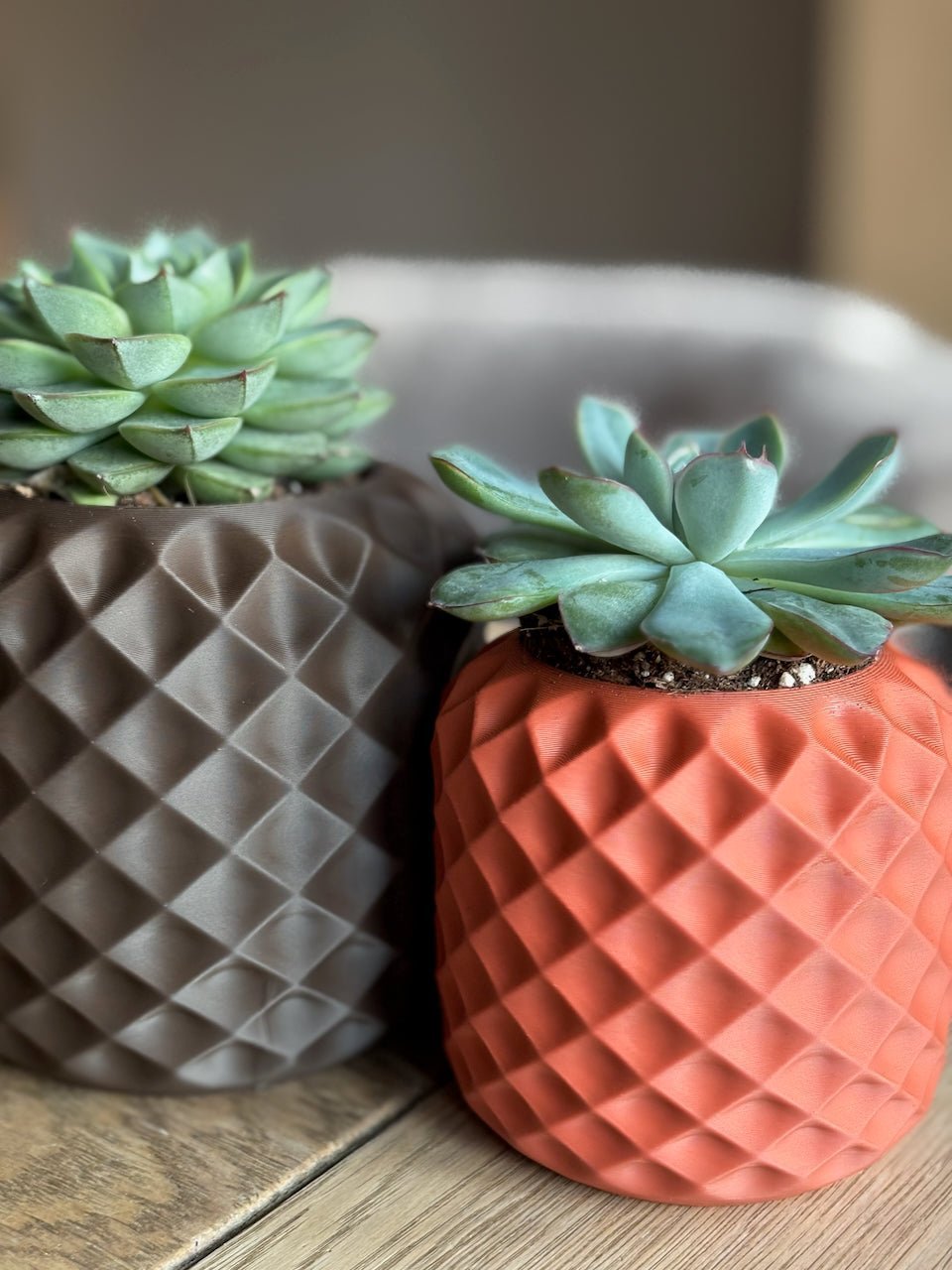 Hvilken størrelse potte skal din plante have? - Little Plants