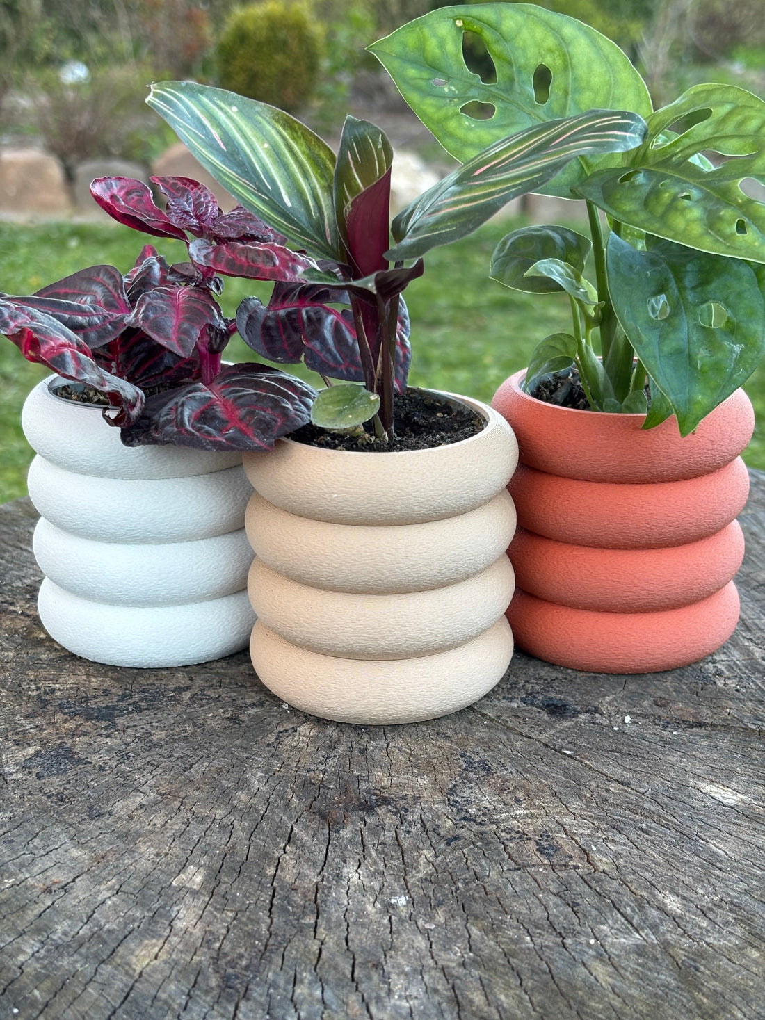 Sådan matcher du potte og indretningsstil: den store farveguide - Little Plants