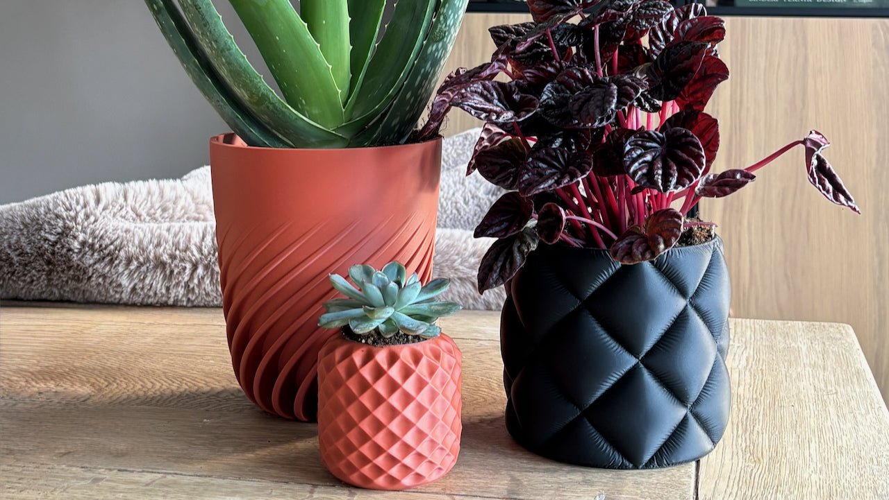 Potter - Little Plants