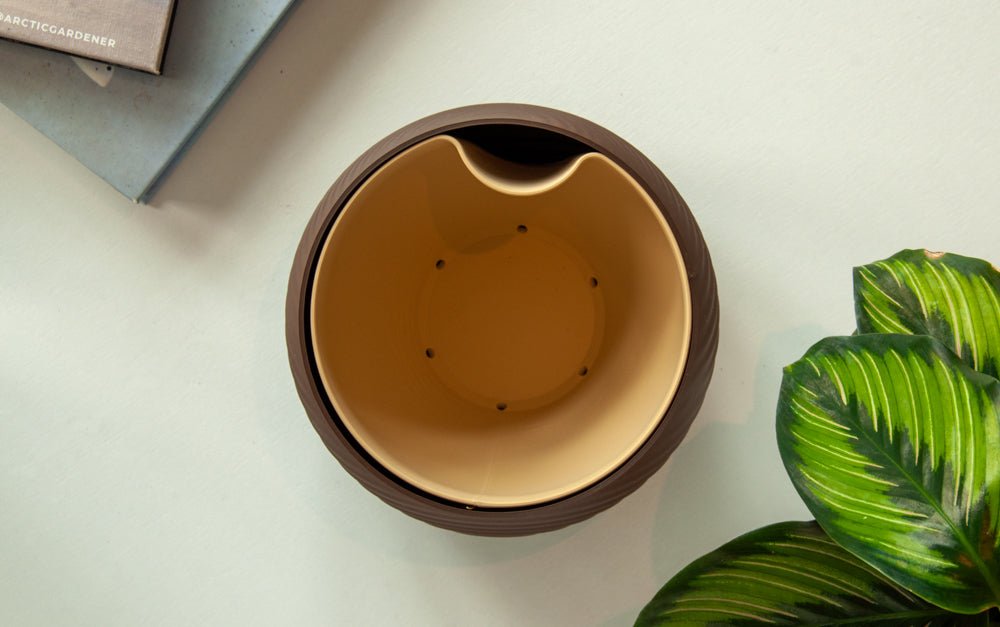 Atoll Ø12 - Little Plants