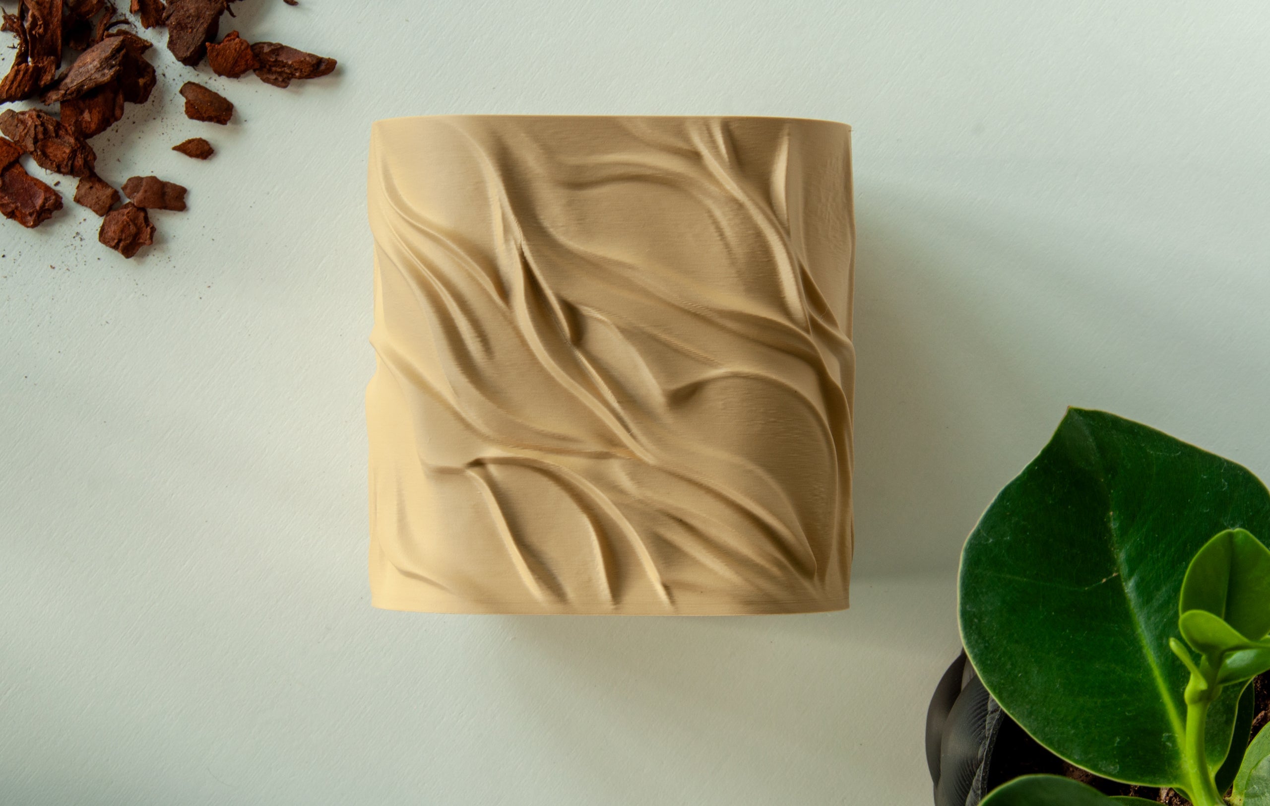 Bølgen - Little Plants