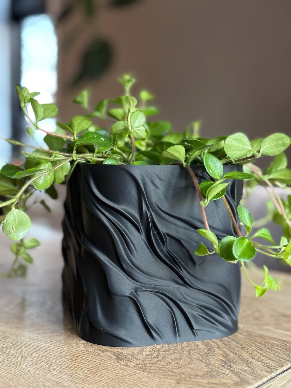 Bølgen - Little Plants