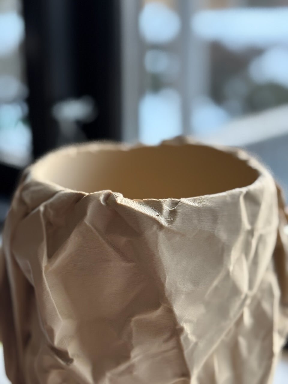 Krøllen - Little Plants