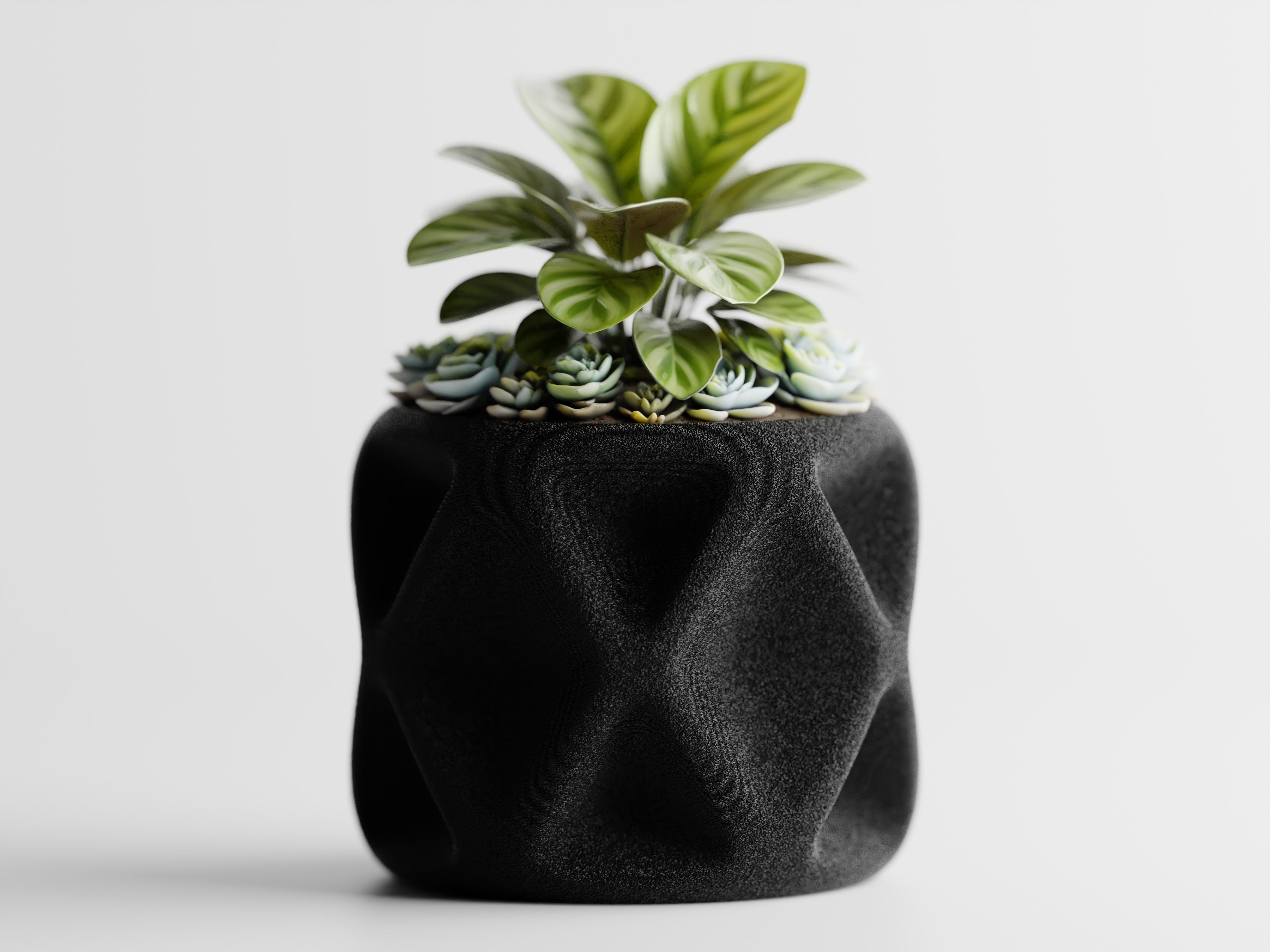 Kuben - Little Plants