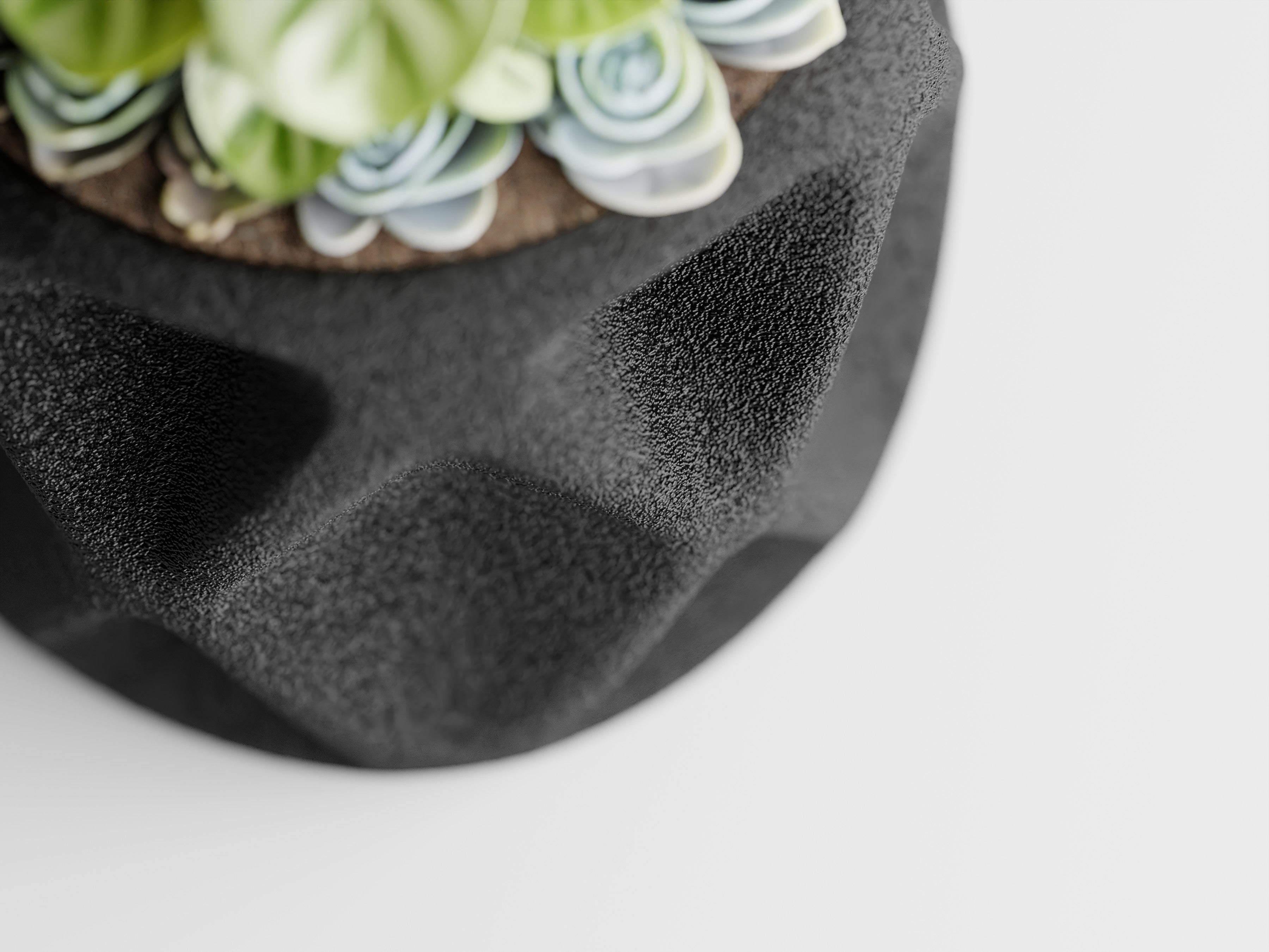 Kuben - Little Plants