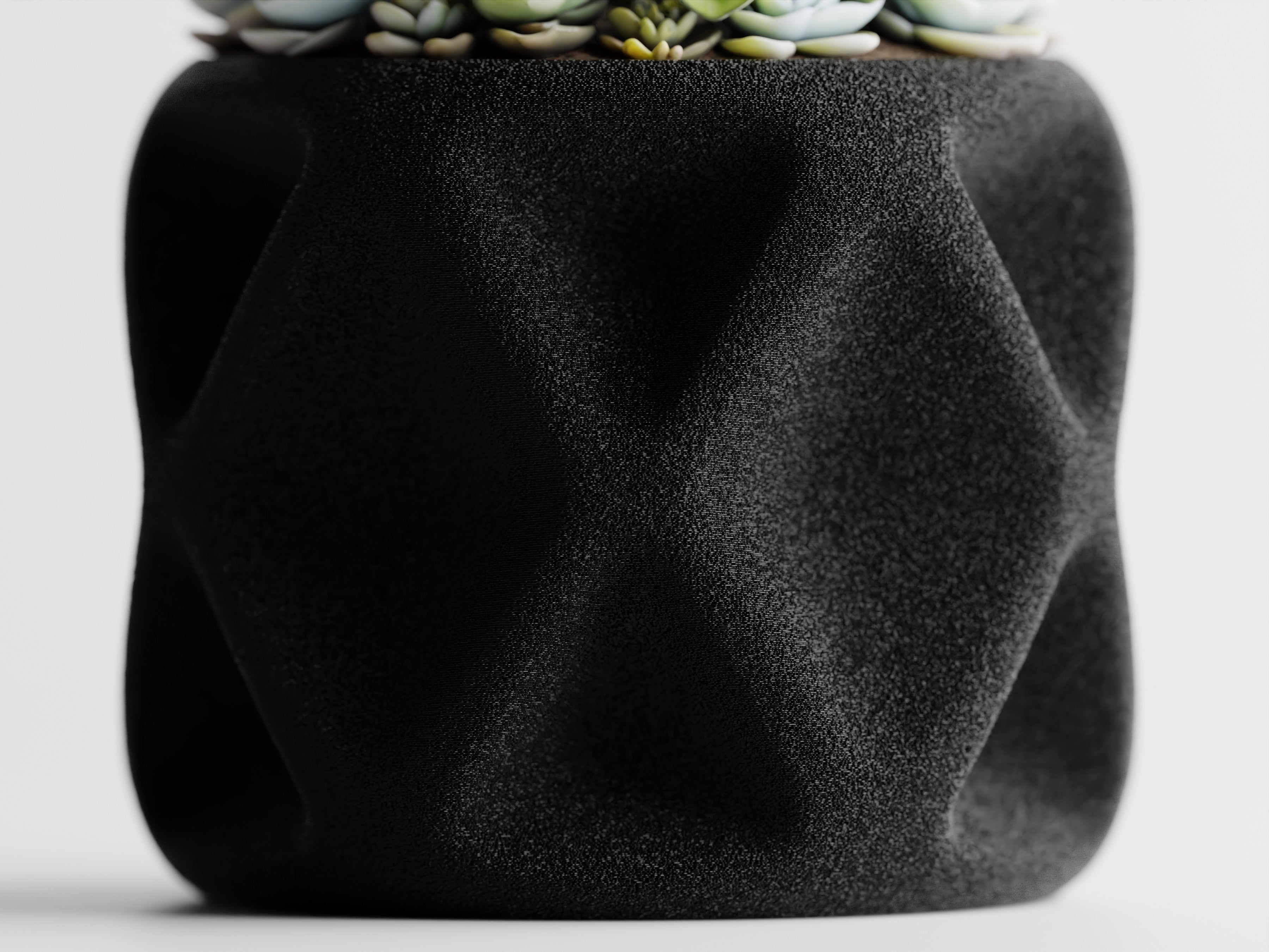 Kuben - Little Plants