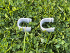 Mossy Ø5 – Clips x 2 (L) - Little Plants