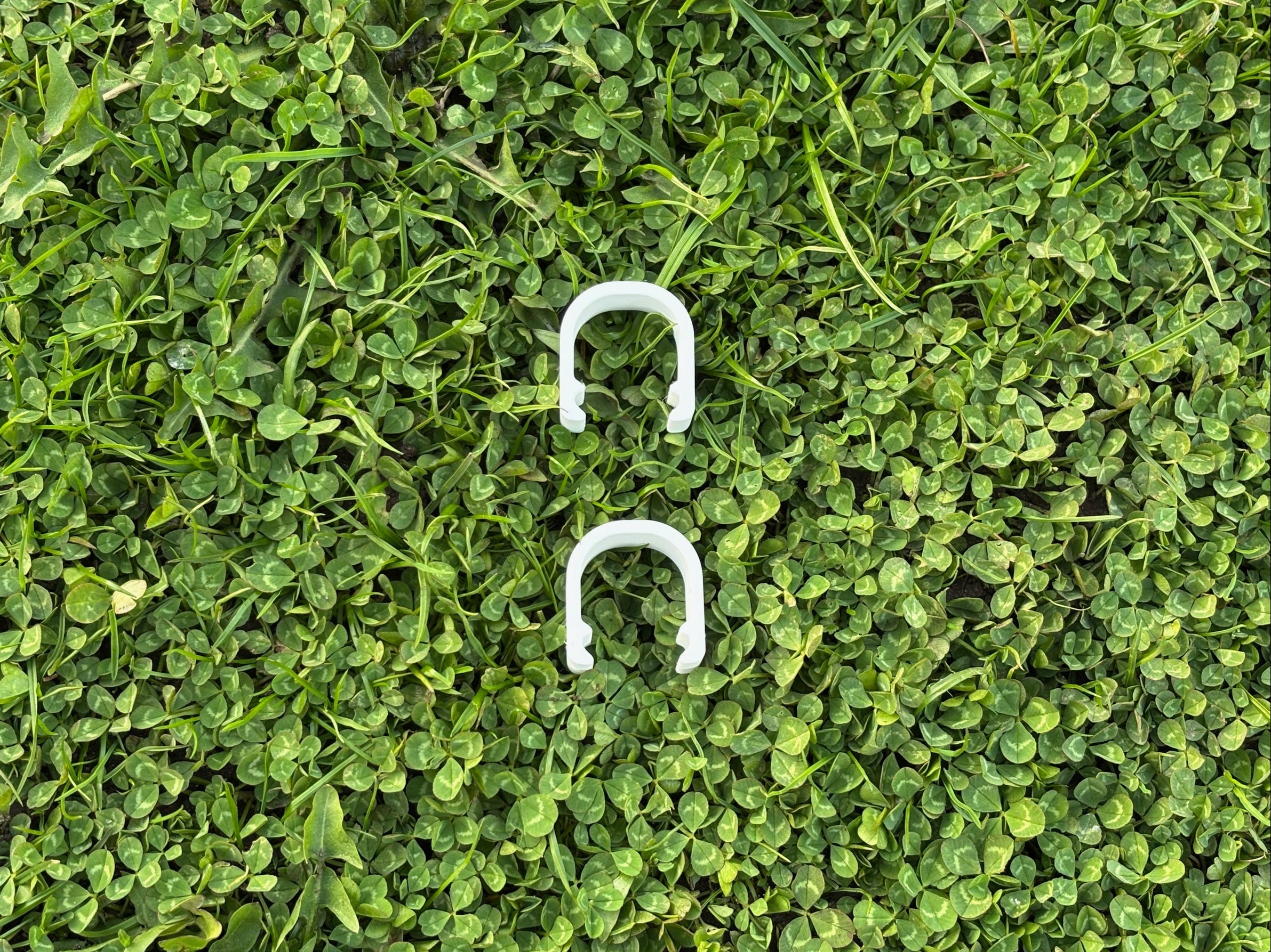 Mossy Ø5 - Forankret startsæt - Little Plants