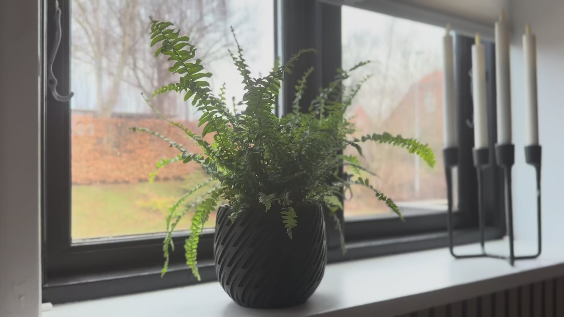 Urtepotteskjuleren 'Vinden' i sort i en vindueskarm med en grøn bregne