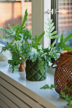Puden - Little Plants