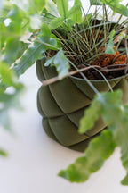 Puden - Little Plants