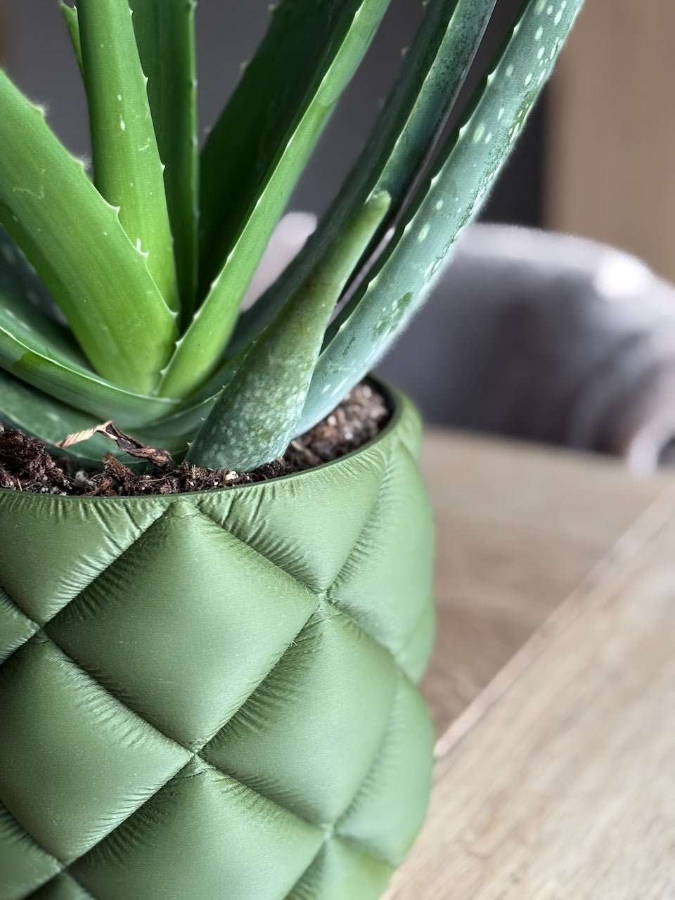 Puden - Little Plants