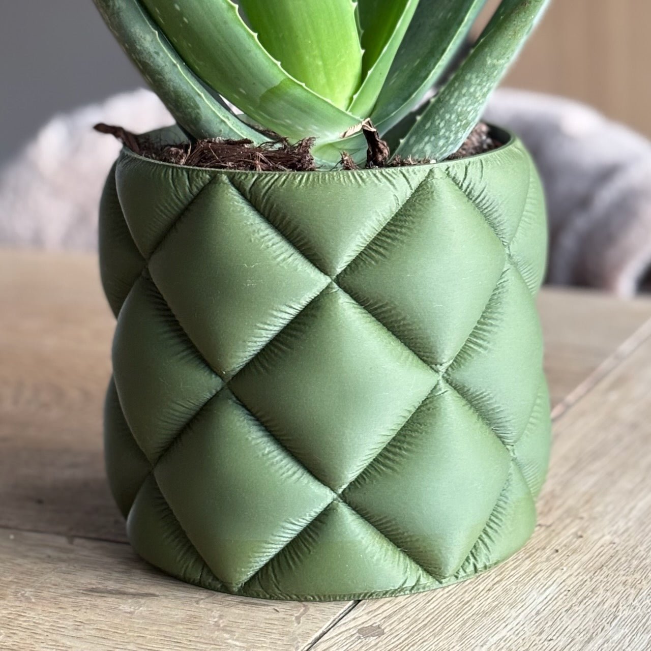 Puden - Little Plants