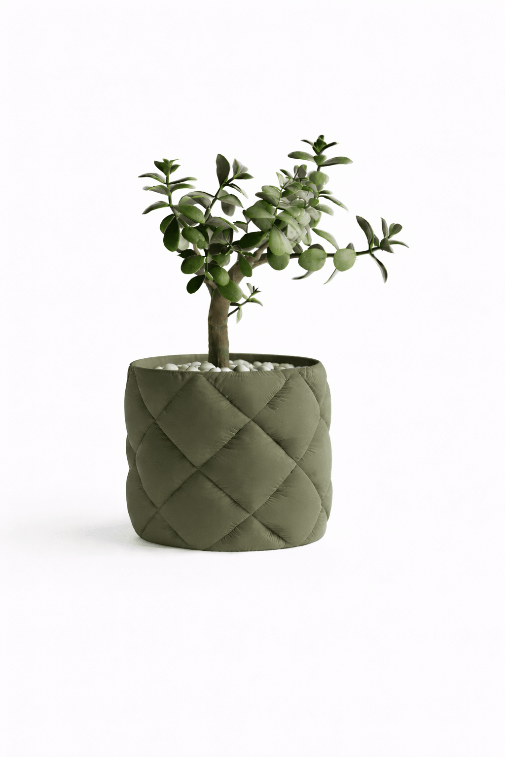 Puden - Little Plants