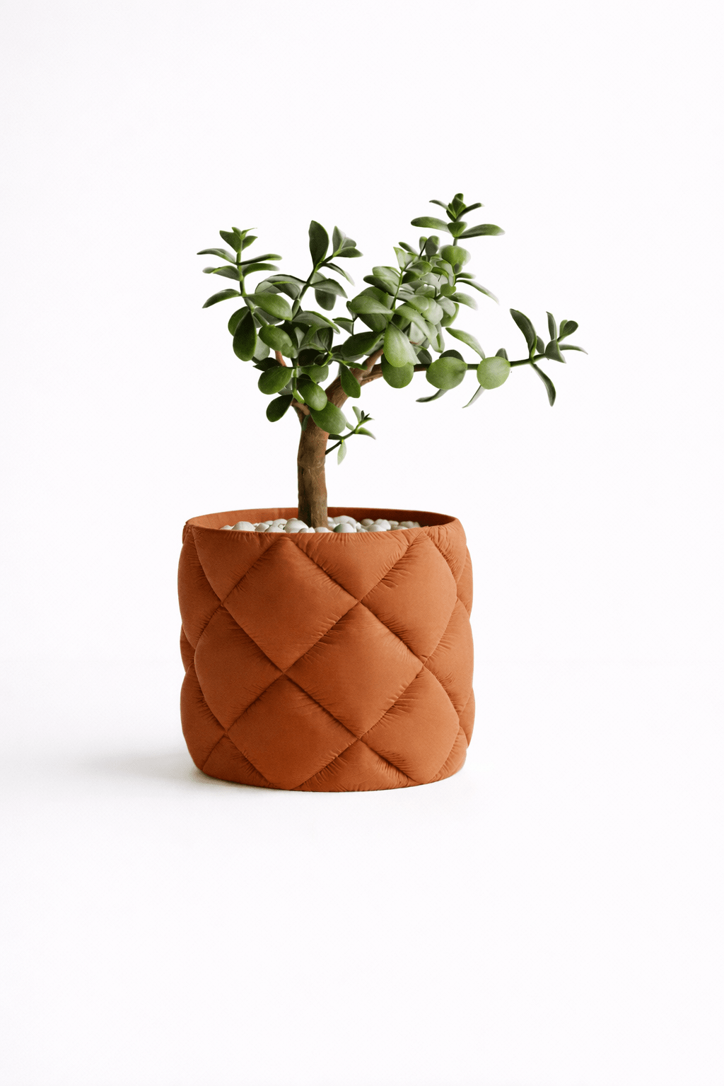 Puden - Little Plants