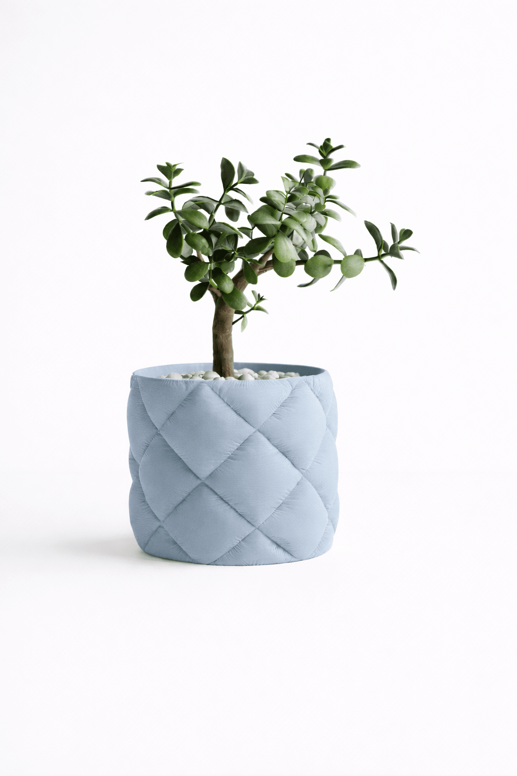 Puden - Little Plants