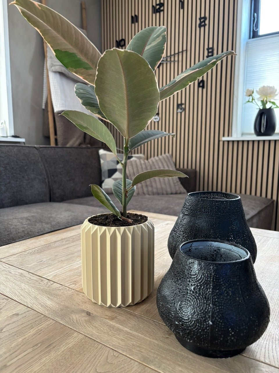 Ribben - Little Plants