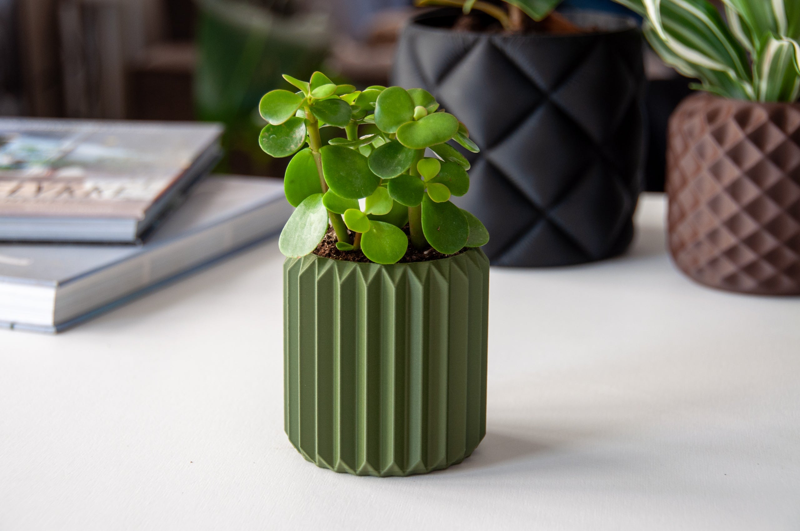 Ribben - Little Plants