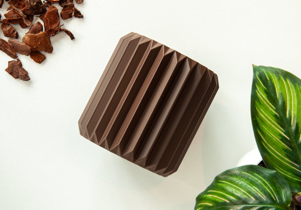 Ribben - Little Plants