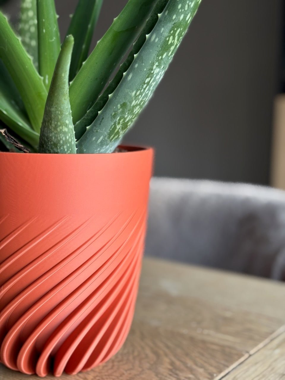 Spiralen - Little Plants