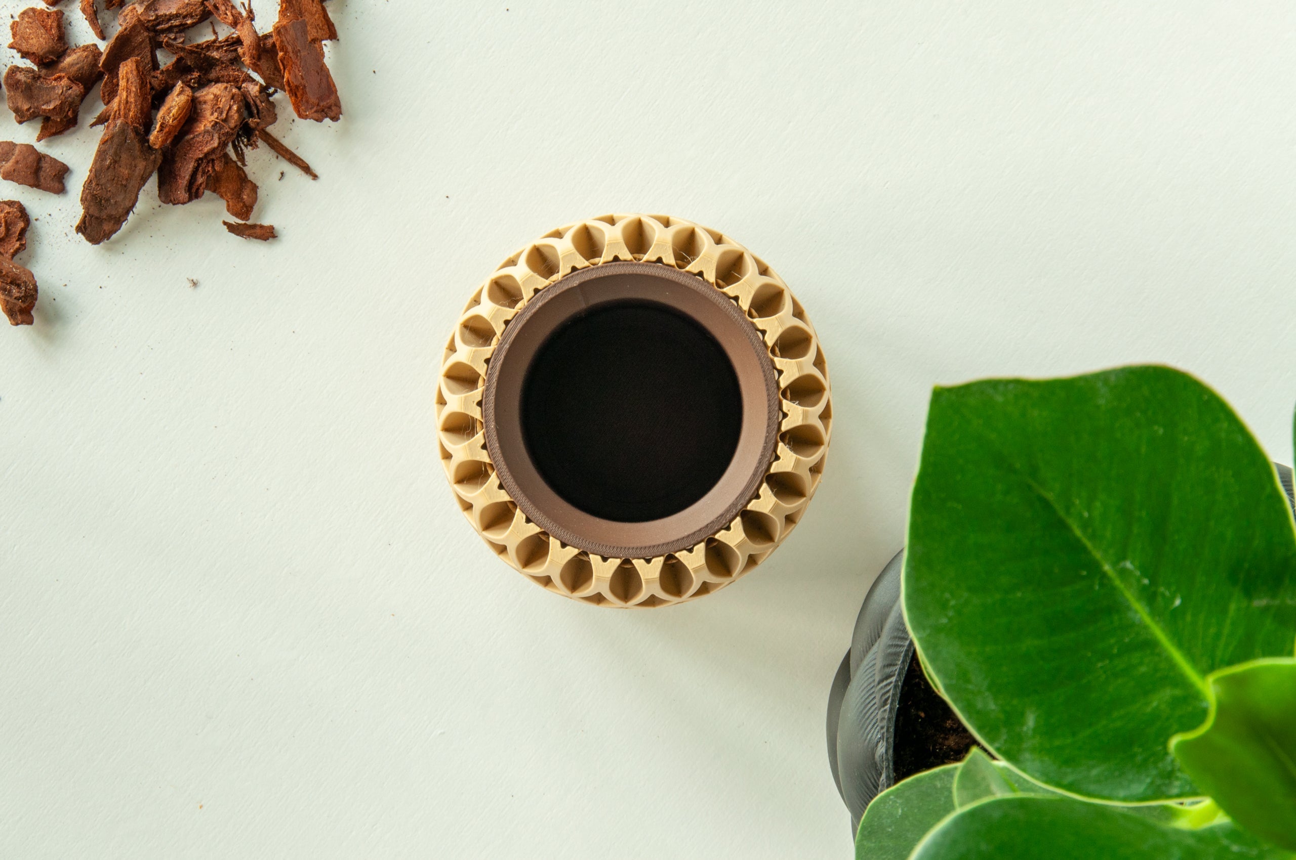 Væveren - Little Plants